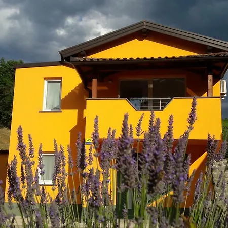 Pocitniska Hisa Dobravlje